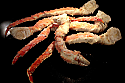 King Crab, Frozen, 9-12 pieces